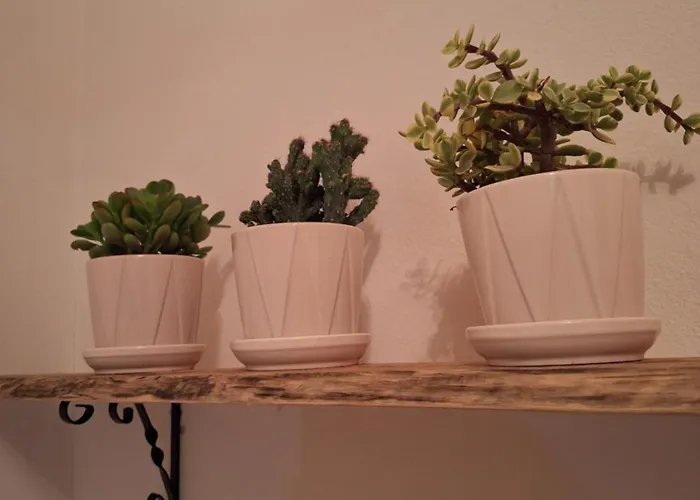 Дом отдыха La Quercia D'oro