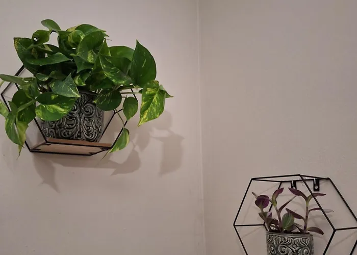 La Quercia D'oro * Фивиццано